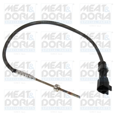 Sensor, exhaust gas temperature